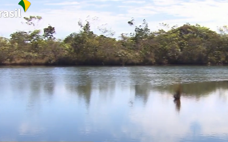 Setor de turismo projeta encerrar ano com crescimento de 16%, diz FecomercioSP