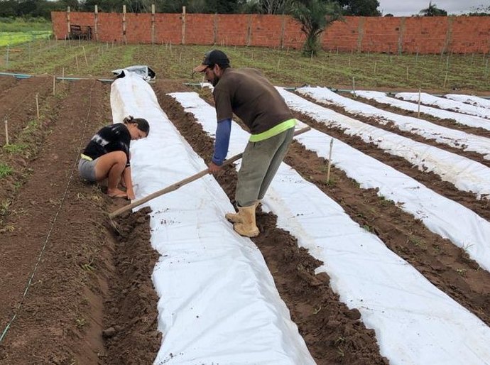 Prefeito em exercício Ronaldo Lessa visita residencial que será entregue a 500 famílias