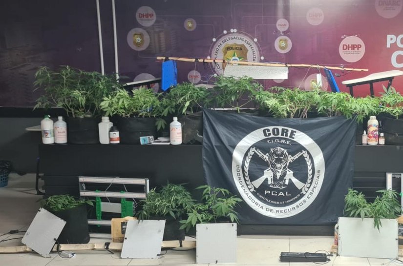 Polícia Civil estoura laboratório usado para cultivo e refinamento de maconha em Maceió