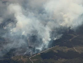 Países europeus combatem múltiplos incêndios florestais enquanto o calor recorde atinge o continente.