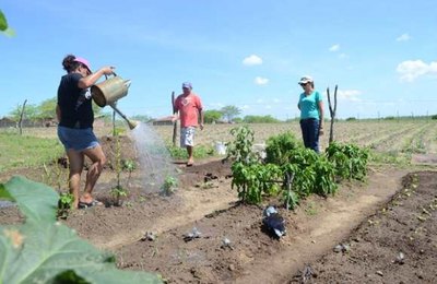 Emater promove geração de renda ao homem do campo em Alagoas