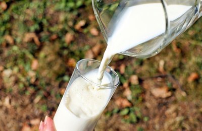 "Leite é um alimento completo", afirma nutricionista 