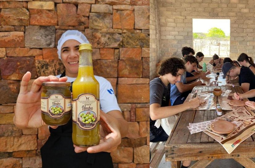 Negócio de Impacto transforma a Caatinga em vetor de desenvolvimento no semiárido alagoano