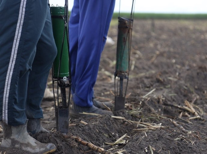 Trabalhadores do Barriga Cheia em Campo Alegre esperam boa produção