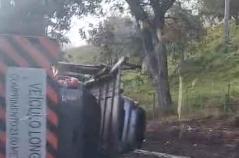 Caminhão-cegonha tomba na BR-316 e danifica carros transportados