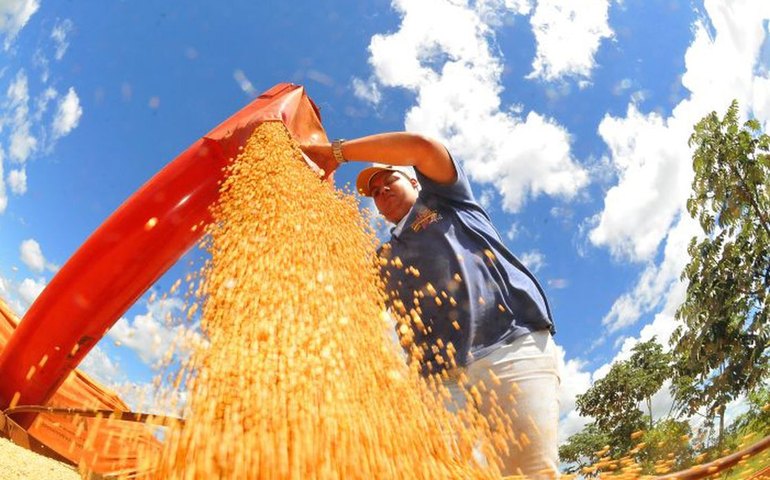 Crédito do BNDES para Plano Safra se aproxima de R$ 30 bilhões