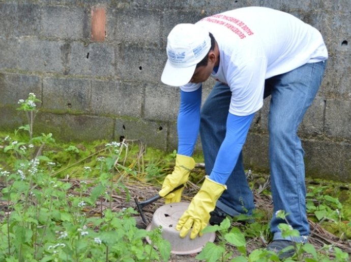 Sesau avalia ações de combate ao mosquito Aedes aegypti em AL
