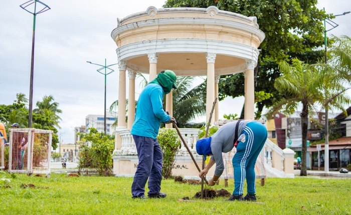 Mais de 100 mudas foram plantadas Mais de 100 mudas foram plantadas