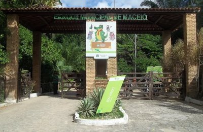 Dia do Meio Ambiente é celebrado com diversão e serviços no Parque Municipal