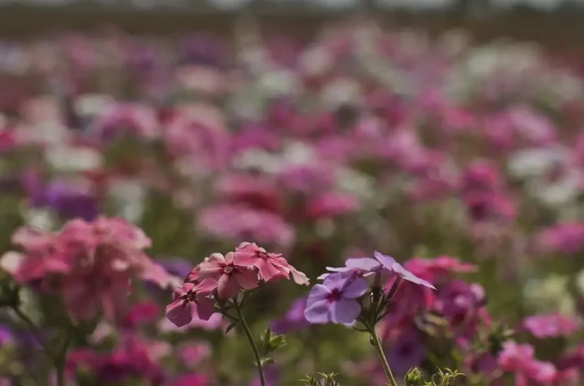 Primavera começa com chegada de frente fria, temporais e fortes ventos