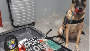Homem é preso com 12kg de drogas dentro de casa em Aracaju / Foto: Foto: Polícia Militar/SE