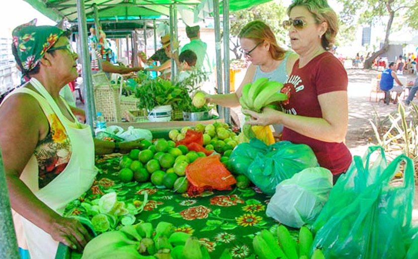 Feira de Orgânicos da Praça Centenário recebe novos participantes em Maceió