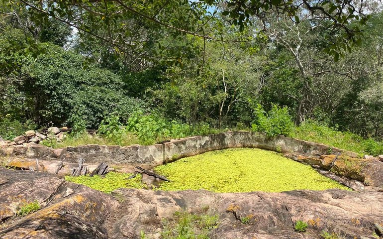 IMA orienta sobre cuidados necessários ao fazer uma trilha ecológica