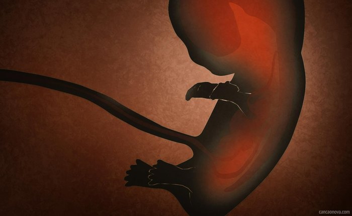 Proposta de Mesaque Padilha foi votada em primeiro turno nesta terça-feira e prevê ações para mulheres com gravidez indesejada, participação de grupos pró-vida e campanhas para desestimular o aborto