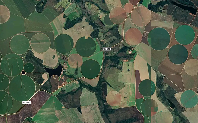 Cerrado já perdeu quase metade da vegetação nativa em 40 anos, aponta estudo do MapBiomas