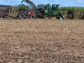 Conab dá início ao pagamento da subvenção econômica para produtores de cana em Alagoas