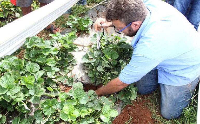 Cancelado debate sobre extensão rural no Nordeste