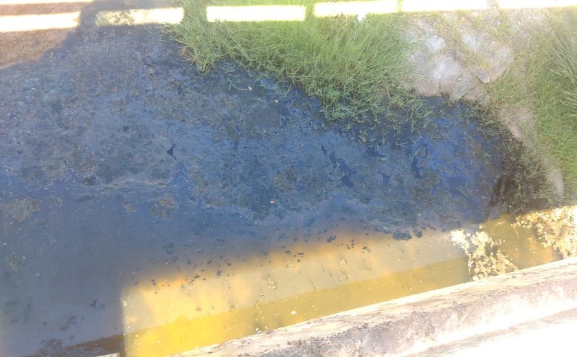 [VÍDEO] Crime ambiental: Prefeitura despreza meio ambiente em Igaci