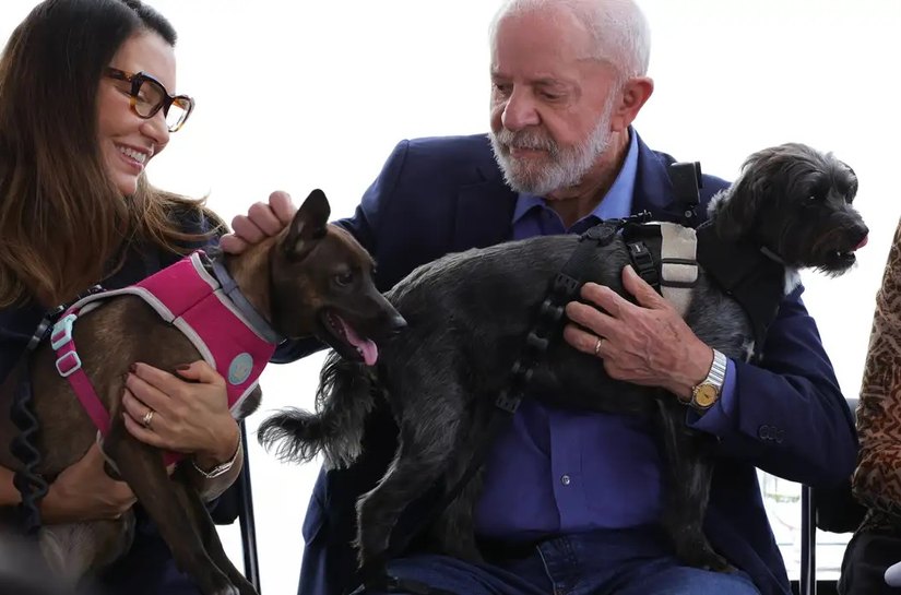 Lula lança programa de identificação e proteção de cães e gatos