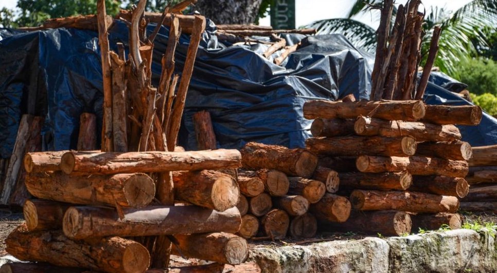 Aracaju libera três pontos para venda de fogueiras; confira os locais / Foto: Foto: Felipe Goettenauer/Emsurb