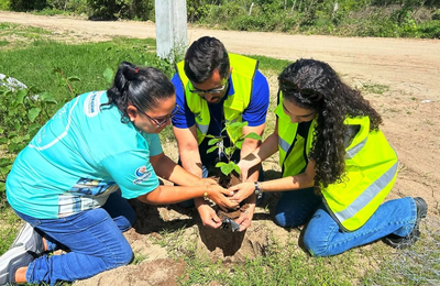 Pão de Açúcar planta futuro com ações ambientais e educação ecológica
