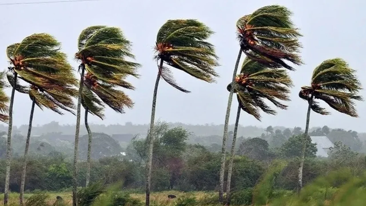 Tempestade de areia com ventos fortes na Austrália reduz visibilidade e bloqueia estradas