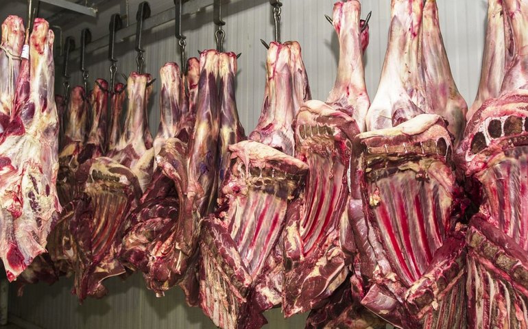 China suspende exportações de três frigoríficos brasileiros após identificar irregularidades