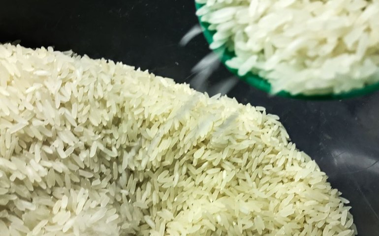 Arroz registra o maior preço mundial dos últimos 15 anos