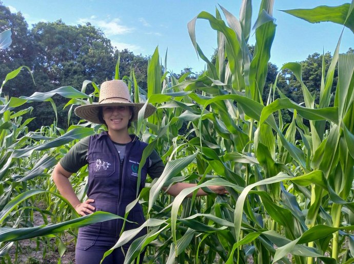 Estudantes de veterinária aprendem com cultivo de sementes do Planta Alagoas