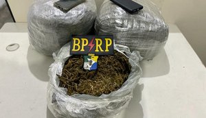 Homem é preso por armazenar mais de 12 kg de maconha dentro de casa na Grande Aracaju