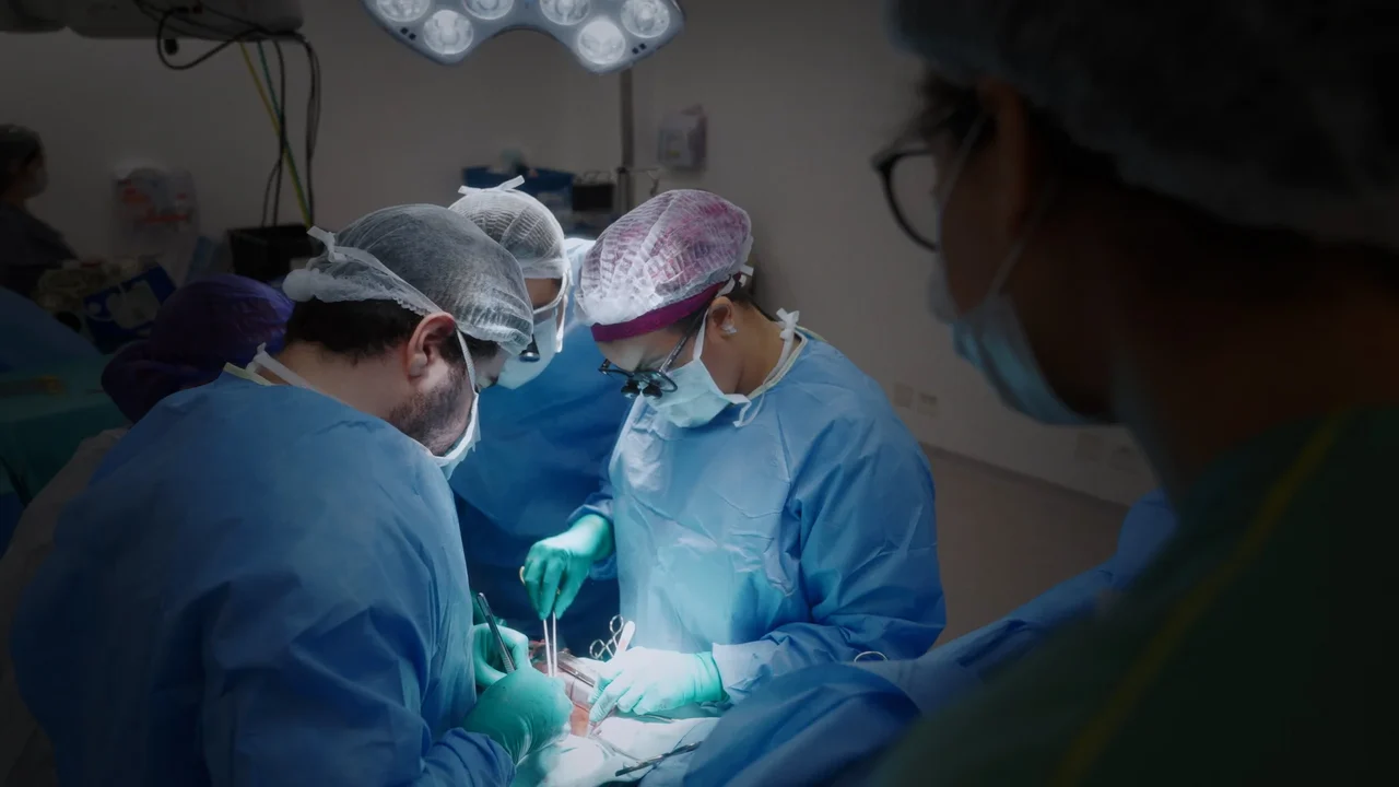 'Operação Transplante' é renovada para segunda temporada e amplia alcance internacional