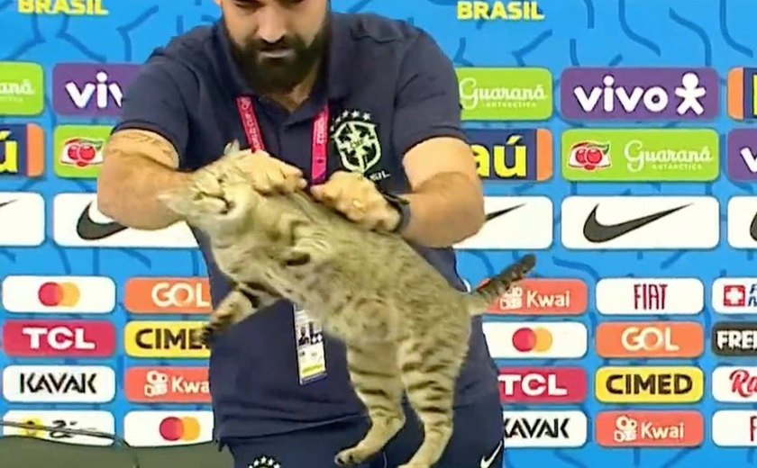 ONG entra com ação contra a CBF por maus-tratos de gato durante a Copa