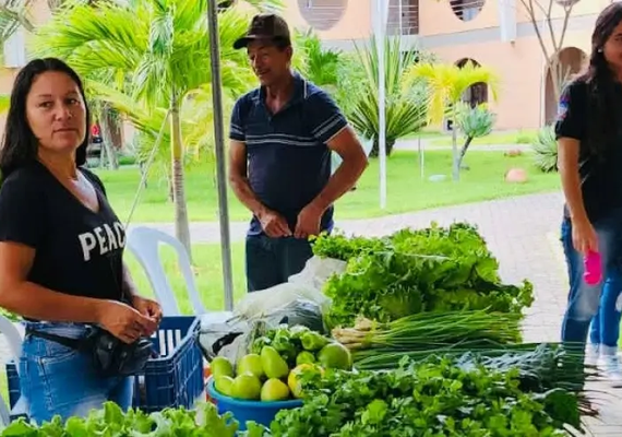 Agricultores familiares participam de seminário e encontro de negócios no Sertão