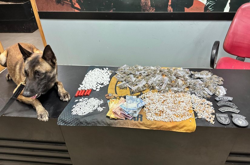 PM-AL contabiliza quase 50 quilos de drogas e 25 armas de fogo apreendidos em uma semana