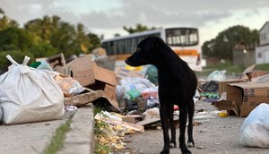 Foto: Vinícius Mecenas