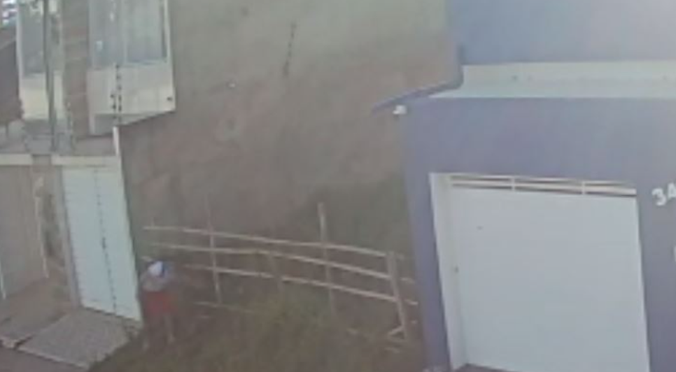 Suspeito de cometer maus tratos é preso por abandono e morte de animais em Lagarto / Foto: Reprodução/Polícia Civil
