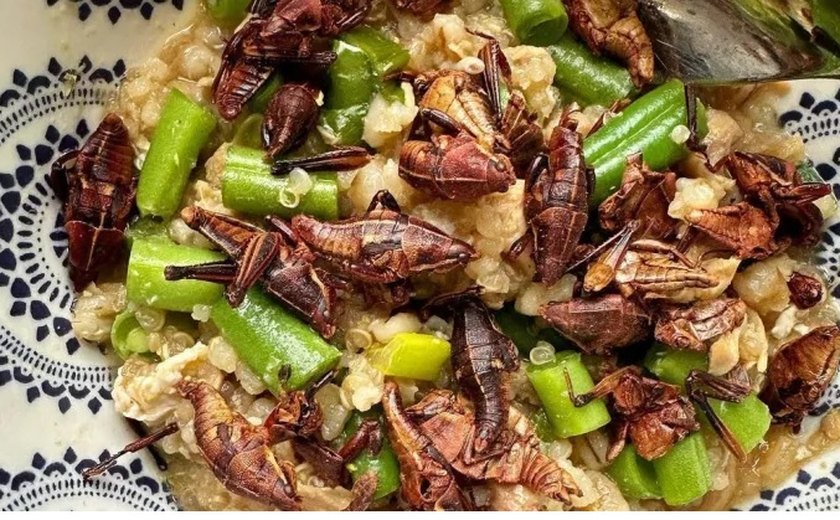 Biscoito de larvas e macarrão com grilo: chef de cozinha estimula consumo de insetos nos EUA