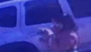 Família procura por cachorro roubado na porta de casa em Aracaju