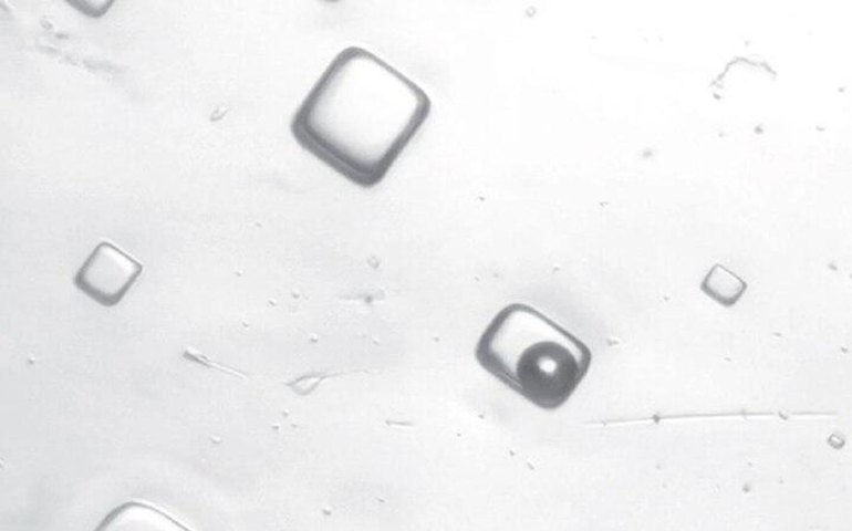 Cientistas analisam cristais de sal para revelar composição do ar de 1,4 bilhão de anos