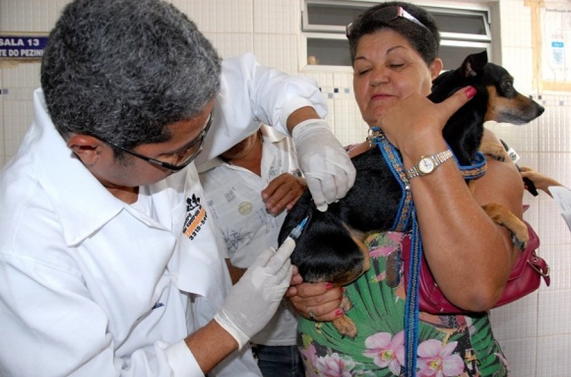 Sesau e municípios iniciam campanha de vacinação antirrábica na segunda
