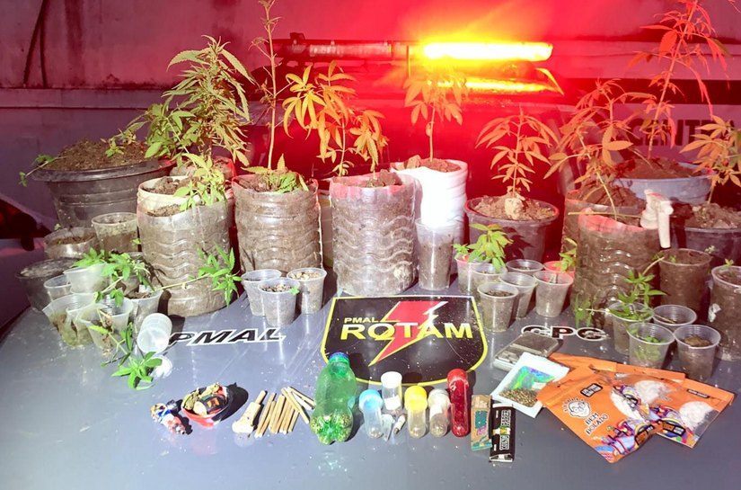 Polícia Militar prende homem e apreende 37 pés de maconha em Satuba