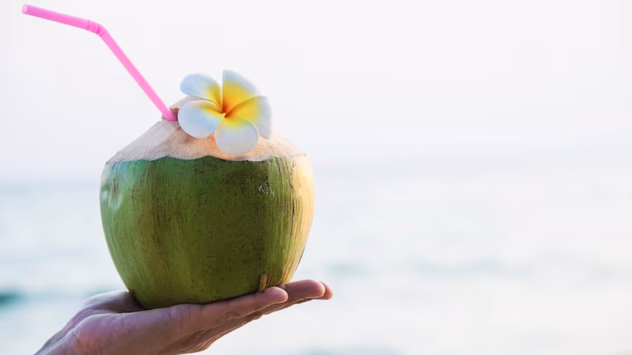 Água de coco, altinha, bar e mais: artistas internacionais se encantam pelo Brasil em 2025