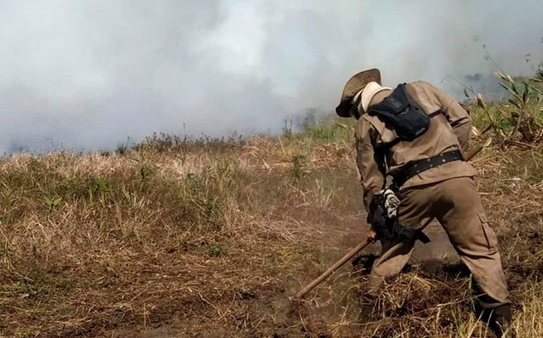 CMA analisa moratória para autorizações de desmatamento do Cerrado