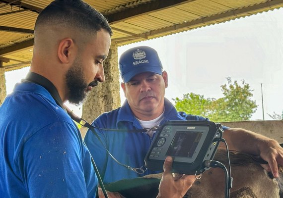Secretaria de Agricultura abre turma para primeira capacitação em bovinos de 2026