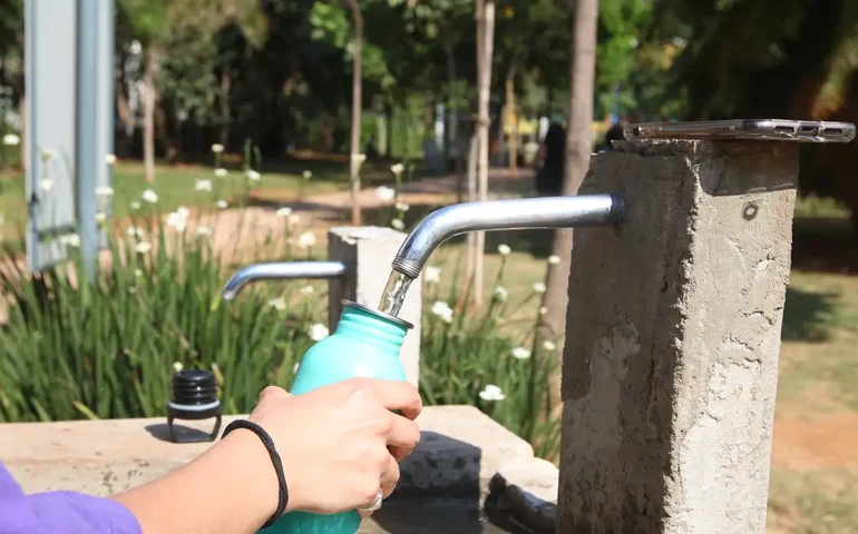 Garrafas térmicas custam de R$ 5 a R$ 315. Veja como escolher e como cuidar delas