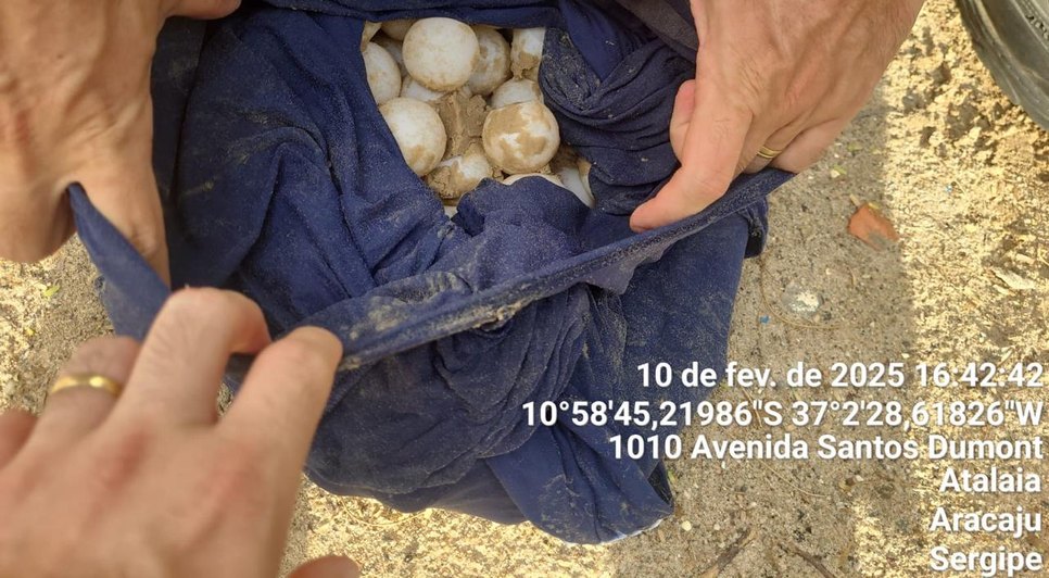 OPERAÇÃO OVOS ATALAIA (1)