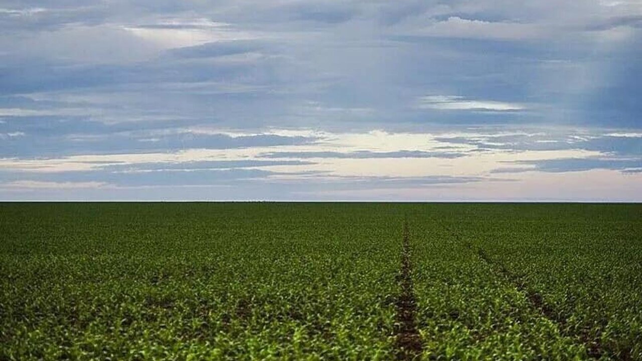 Um conflito no Oriente Médio teria impacto direto no Brasil com alta de fertilizantes, diz estudo
