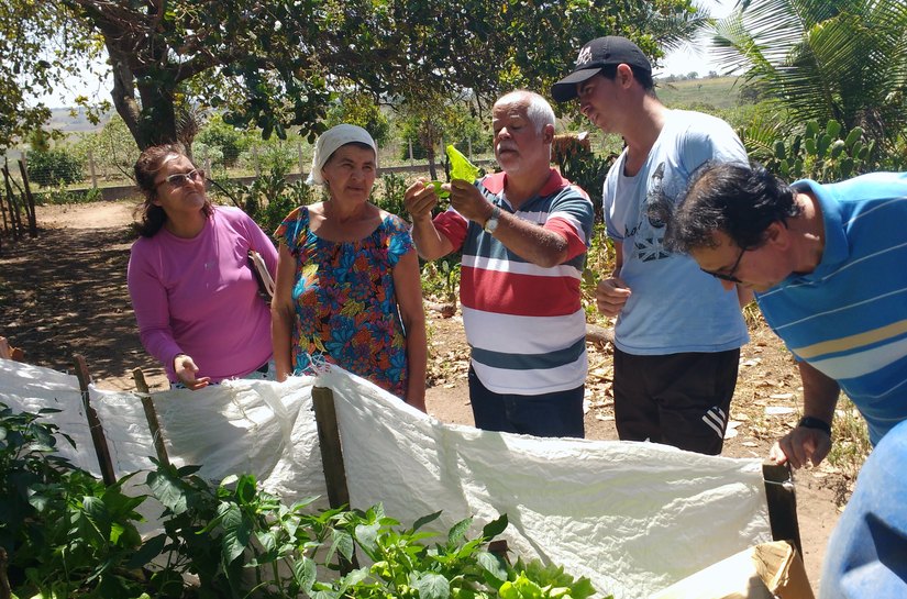 Arapiraca: Projeto Horta no Quintal “floresce” no Carrasco e Pau d’Arco