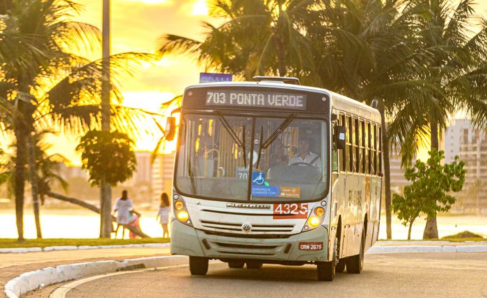31 linhas de graça serão disponibilizadas para os usuários