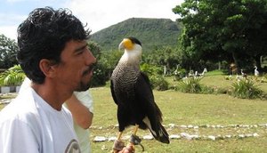 PARQUE DOS FALCÕES / Foto: INTERNET